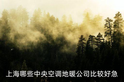 上海哪些中央空調(diào)地暖公司比較好急
