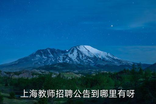 上海市ap化學(xué)教師 招聘，上海教師招聘信息在什么網(wǎng)站上有