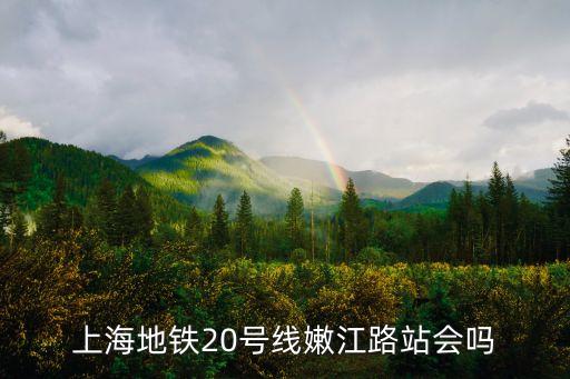 上海地鐵20號(hào)線嫩江路站會(huì)嗎