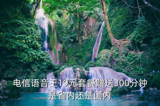 廣州電信語音王電話卡19元，電信大王卡200G流量十100分鐘國內(nèi)通話月租19元是真的嗎  問