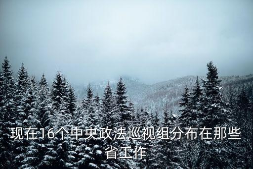 上海市中央司法巡視，現(xiàn)在16個中央政法巡視組分布在那些省工作