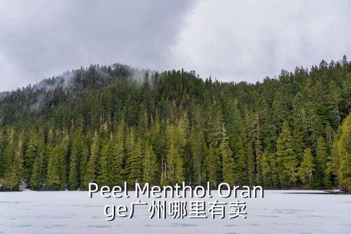 廣州海底椰標哪里有賣，Peel Menthol Orange廣州哪里有賣