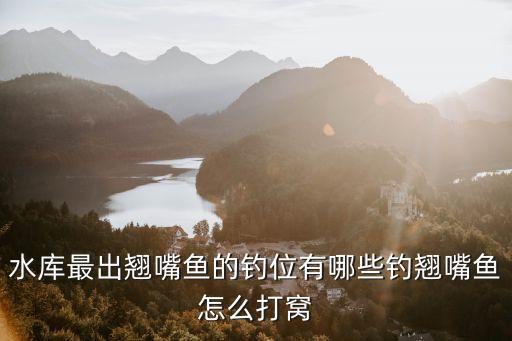 上海市翹嘴魚釣點(diǎn)，水庫(kù)最出翹嘴魚的釣位有哪些釣翹嘴魚怎么打窩