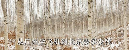 從廣州到北京的機票是多少錢，從廣州坐飛機到北京要多少錢