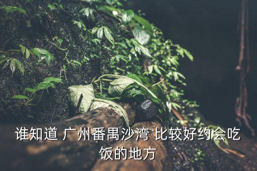 誰知道 廣州番禺沙灣 比較好約會吃飯的地方