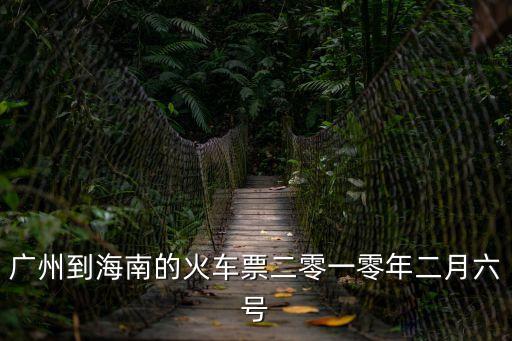 廣州到海南的火車票二零一零年二月六號