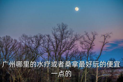 廣州哪里的水療或者桑拿最好玩的便宜一點(diǎn)的