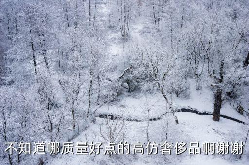 不知道哪質(zhì)量好點(diǎn)的高仿奢侈品啊謝謝
