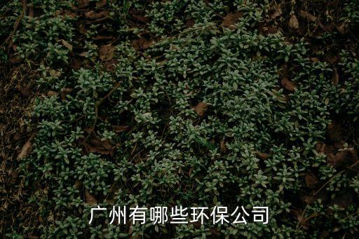 廣州市浩宇環(huán)保科技有限，廣州有哪些環(huán)保公司