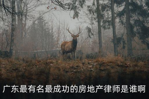 廣州找厲害的房地產律師有哪些，廣東最有名最成功的房地產律師是誰啊