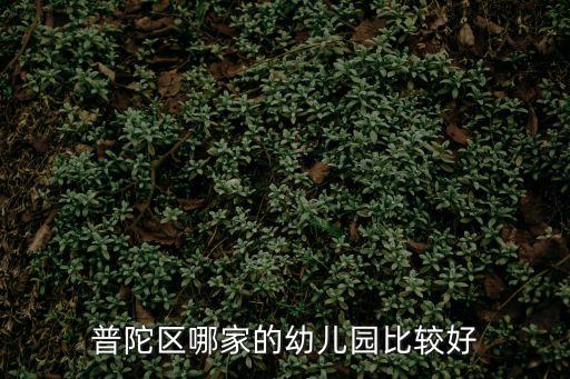 上海市普陀山武寧路幼兒園，普陀區(qū)哪家的幼兒園比較好