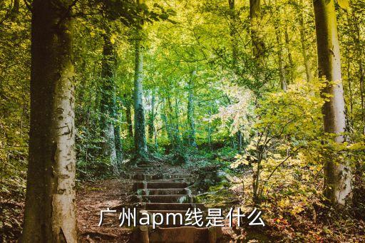 廣州apm車廂內畫，廣州地鐵3號線APM是什么是供旅游觀光用嗎坐在車上可以往外