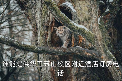 誰能提供華工五山校區附近酒店訂房電話