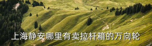 上海靜安哪里有賣拉桿箱的萬向輪