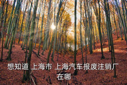 想知道 上海市 上海汽車報(bào)廢注銷廠 在哪