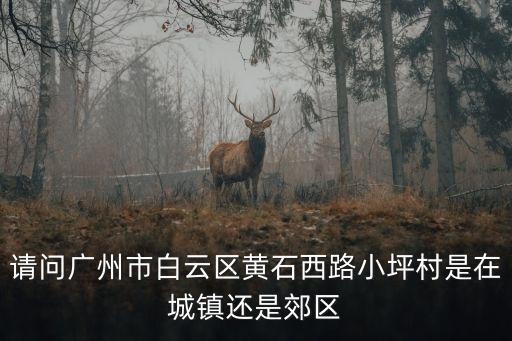 請問廣州市白云區黃石西路小坪村是在城鎮還是郊區