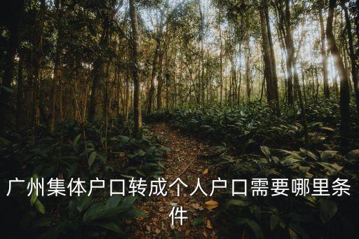 廣州集體戶口轉(zhuǎn)成個人戶口需要哪里條件