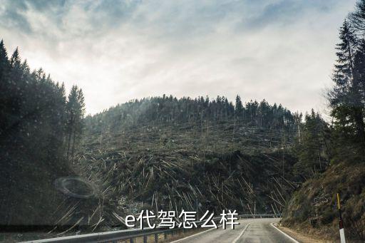 廣州跑e代駕怎么樣，有誰干過e代駕感覺怎樣一個月大概能掙多少錢