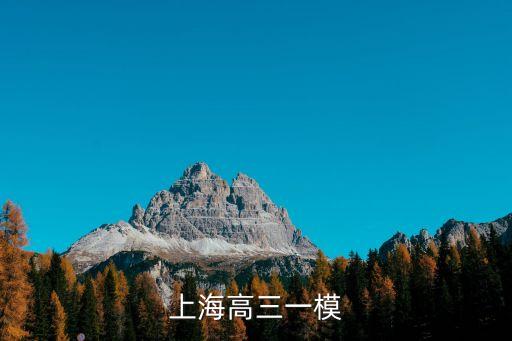 上海高三一模