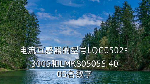 電流互感器的型號(hào)LQG0502s 3005和LMK80505S 4005各數(shù)字