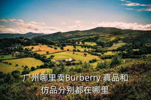 廣州比利時皇家御用品，請問beurer是否在廣州有專賣店