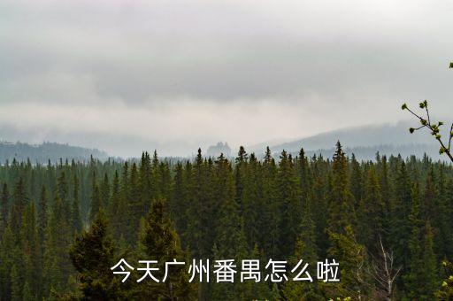 今天廣州番禺怎么啦