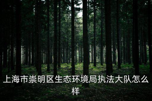 上海市崇明區(qū)生態(tài)環(huán)境局執(zhí)法大隊怎么樣
