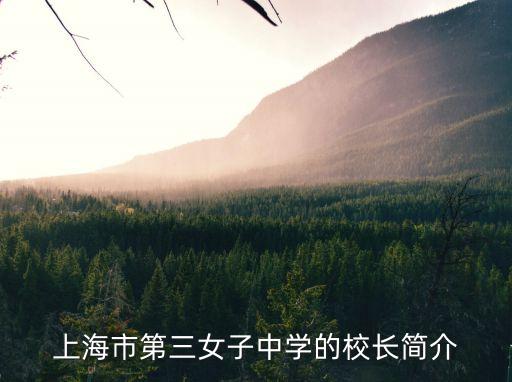 上海市第三女子中學(xué)的校長簡介