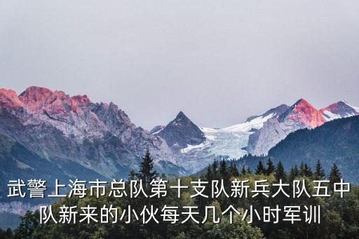 上海市武警總隊(duì)第十支隊(duì)，誰(shuí)知道上海武警總隊(duì)十支隊(duì)三中隊(duì)怎么走