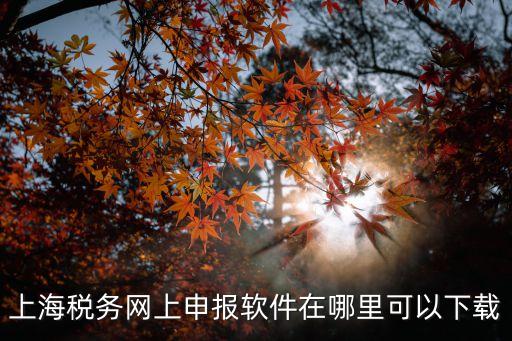 上海稅務網上申報軟件在哪里可以下載