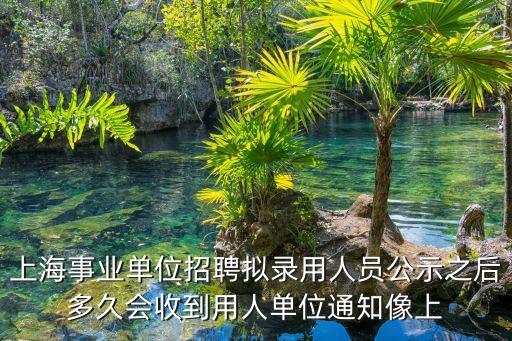 上海市經(jīng)濟(jì)信息中心招聘公示，上海招聘網(wǎng)12333