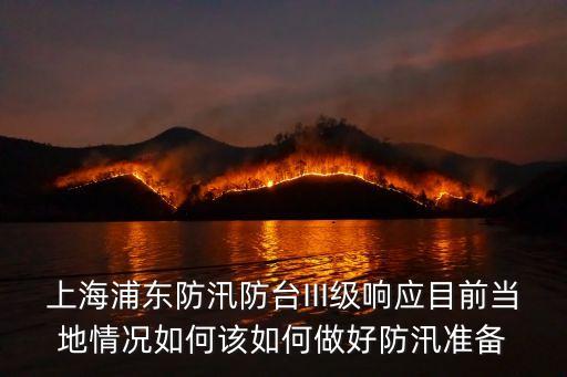 上海市防汛防臺網，上海浦東防汛防臺III級響應目前當地情況如何該如何做好防汛準備