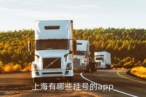 上海市免費掛號預(yù)約，上海醫(yī)院網(wǎng)上掛號