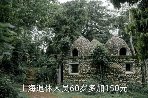 上海市當年增加養老金，上海當年增加養老金部分是什么