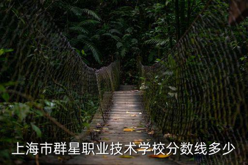 上海市群星職業(yè)技術(shù)學(xué)校分?jǐn)?shù)線多少