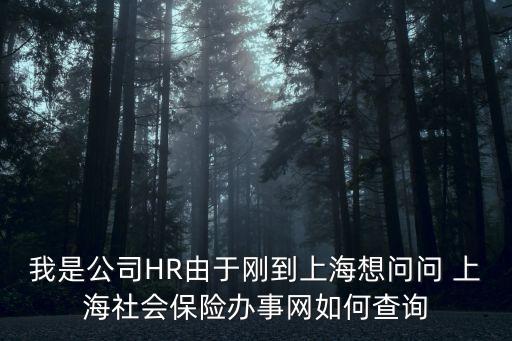 上海市公司人員信息，上海戶籍新單位員工信息表中要填寫社保賬戶號請問社保賬戶號