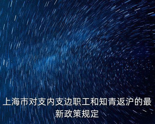 上海市對支內支邊職工和知青返滬的最新政策規定