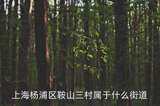上海楊浦區鞍山三村屬于什么街道