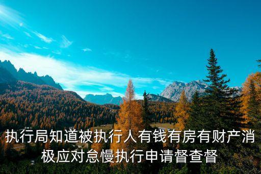 上海市高院執(zhí)行督辦，執(zhí)行局知道被執(zhí)行人有錢有房有財產(chǎn)消極應(yīng)對怠慢執(zhí)行申請督查督