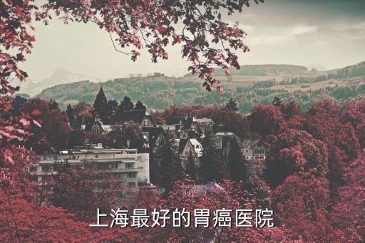 上海市六院治胃癌哪家好，上海最好的胃癌醫院