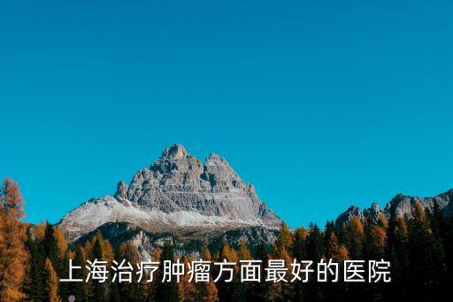 上海治療腫瘤方面最好的醫院