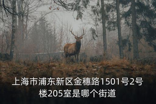 上海市金浦市，上海市浦東新區(qū)金穗路1501號2號樓205室是哪個街道