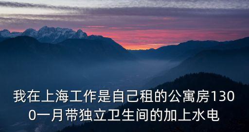 公寓房上海市區(qū)，哪里有新樓盤有公寓房賣的