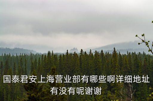 上海市 新加坡 國(guó)泰，國(guó)泰君安上海分公司地址在哪呢