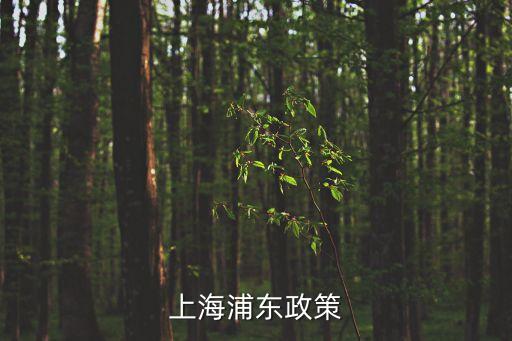 上海浦東政策