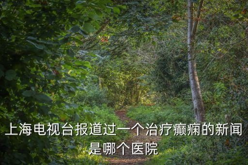 上海市虹橋醫院張巖，上海電視臺報道過一個治療癲癇的新聞是哪個醫院