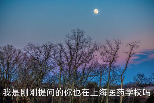 我是剛剛提問的你也在上海醫藥學校嗎