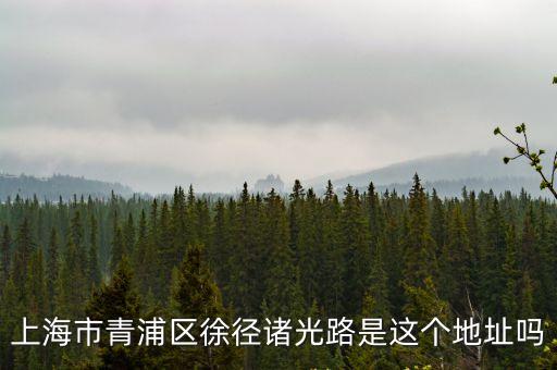 上海市青浦區(qū)徐徑諸光路是這個(gè)地址嗎