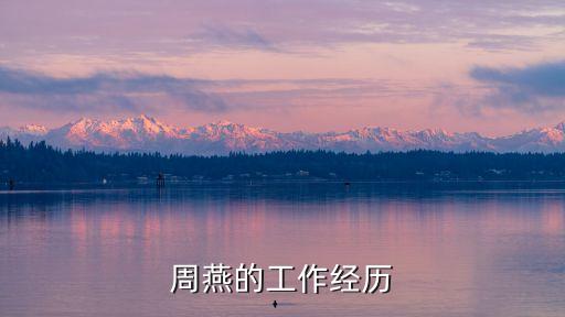 周燕的工作經歷