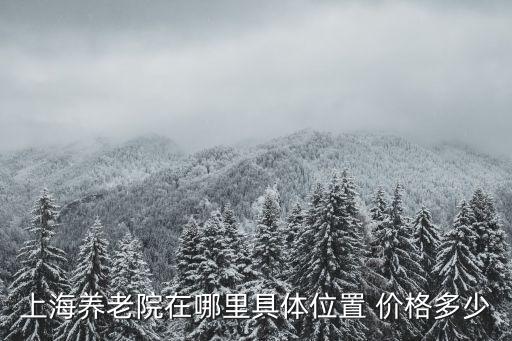 上海養老院在哪里具體位置 價格多少